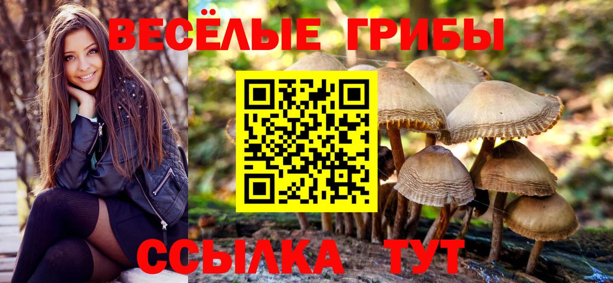 Липецк  наркошоп  Псилоцибиновые грибы Magic Shrooms  Вход с VPN  Псилоцибиновые грибы ЛСД 